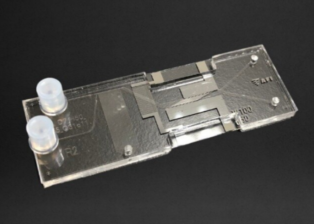 جداسازی سریع‎تر و کارآمدتر سلول‎های زنده با تراشه میکروفلوئیدیک جدید 